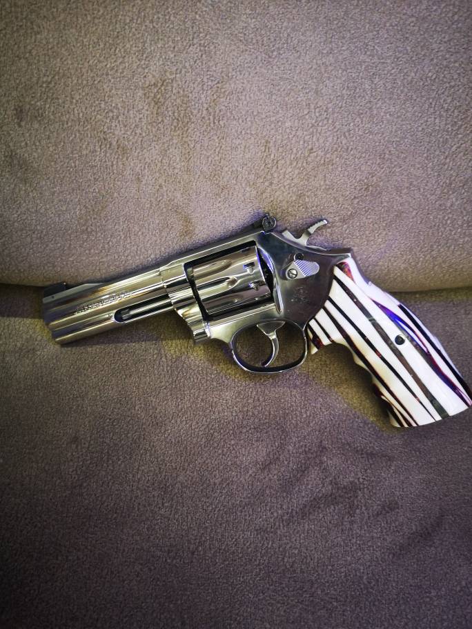 Smith Wesson 22 Lr 4