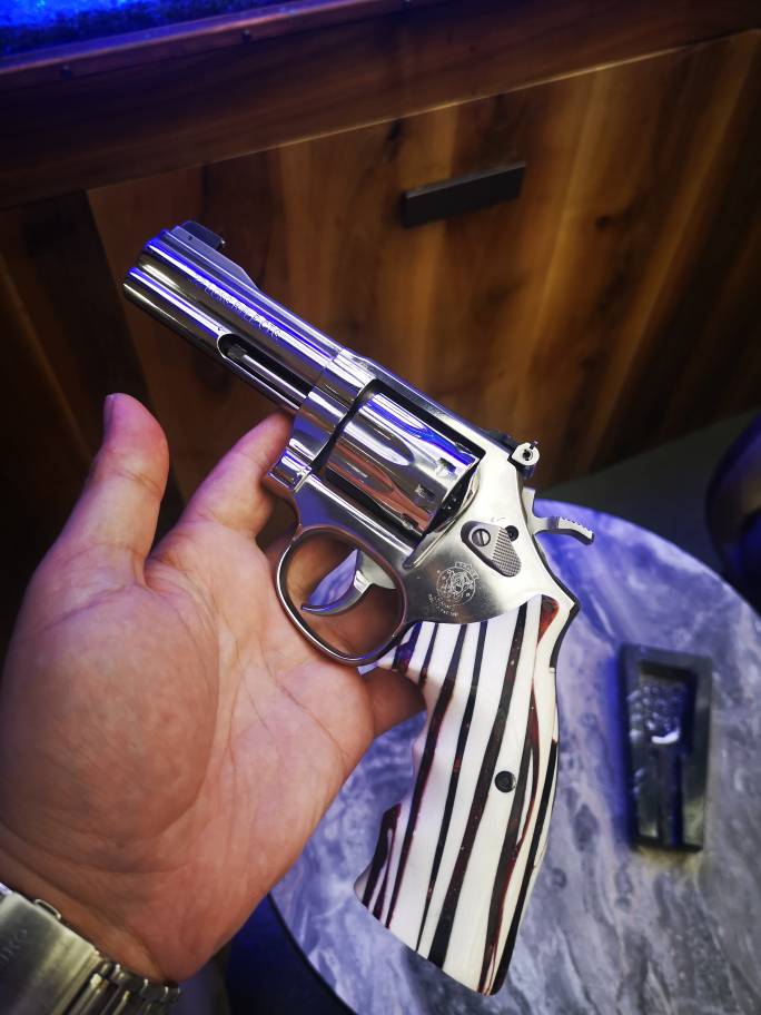 Smith Wesson 22 Lr 4
