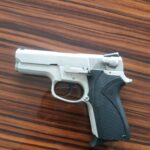 Smith-Wesson 6906