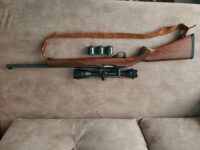 Ruger 10-22