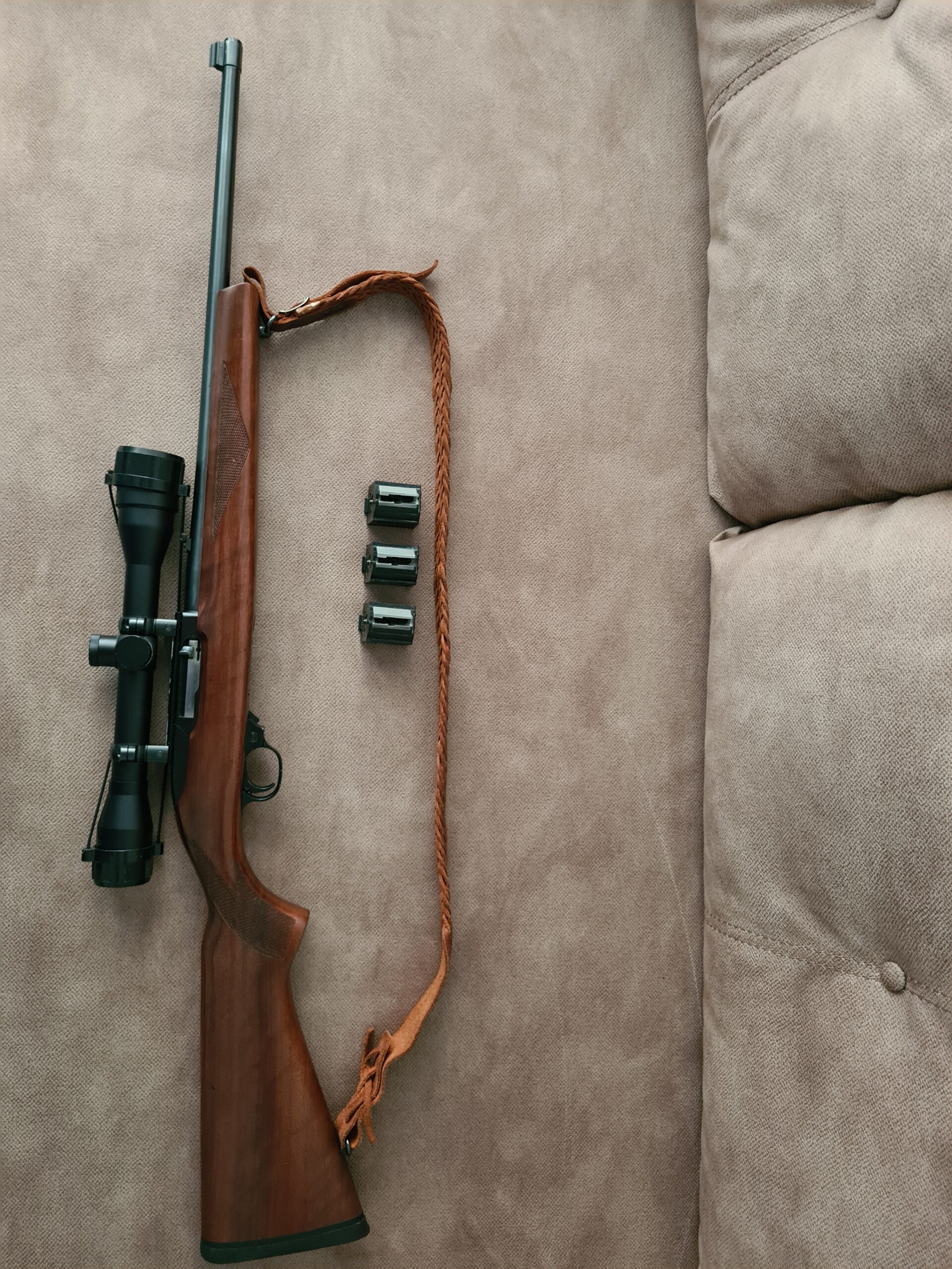 Ruger 10-22